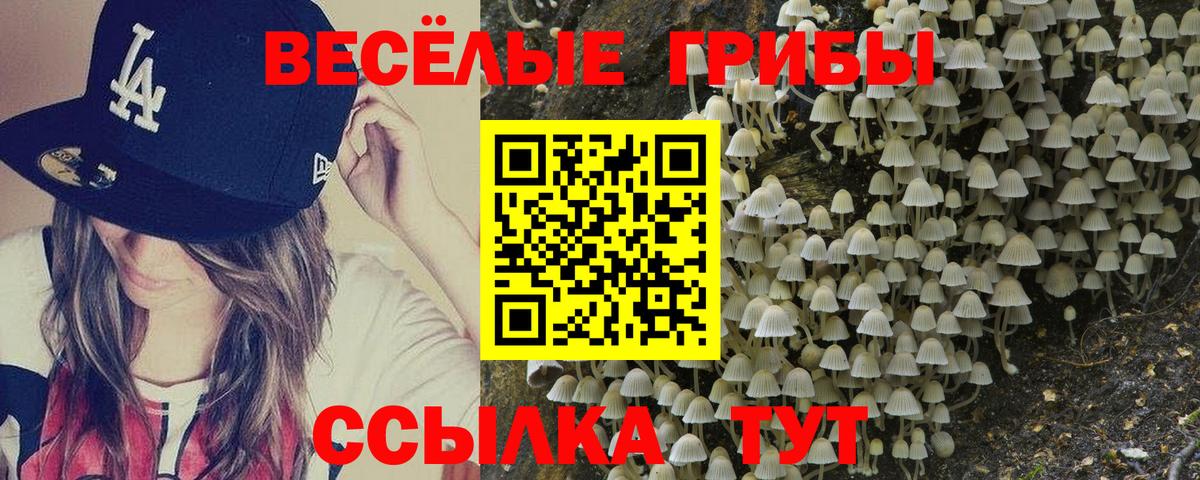 Псилоцибиновые грибы MAGIC MUSHROOMS Моздок